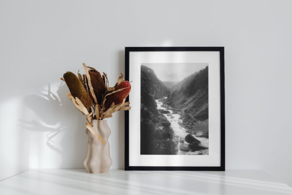 Himalayan Mist - Image 2